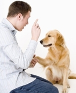 Контролируйте свою собаку и ее поведение
